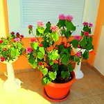 Vila Smilja Podgorica