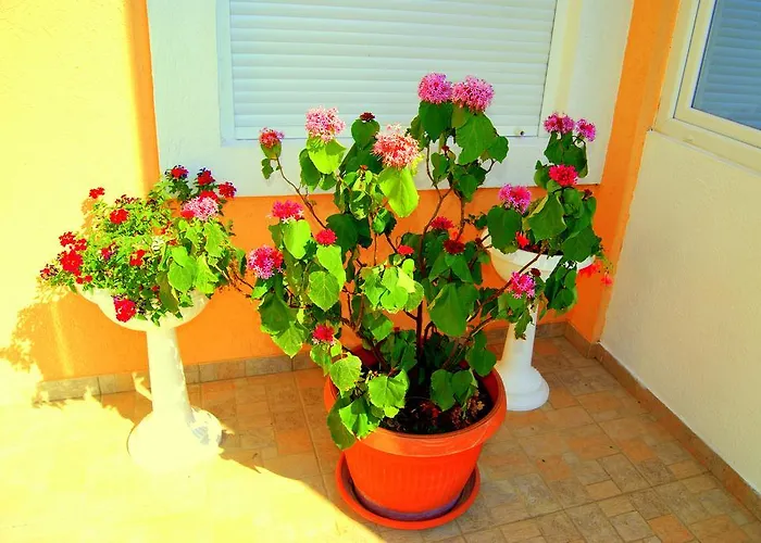 Vila Smilja Podgorica